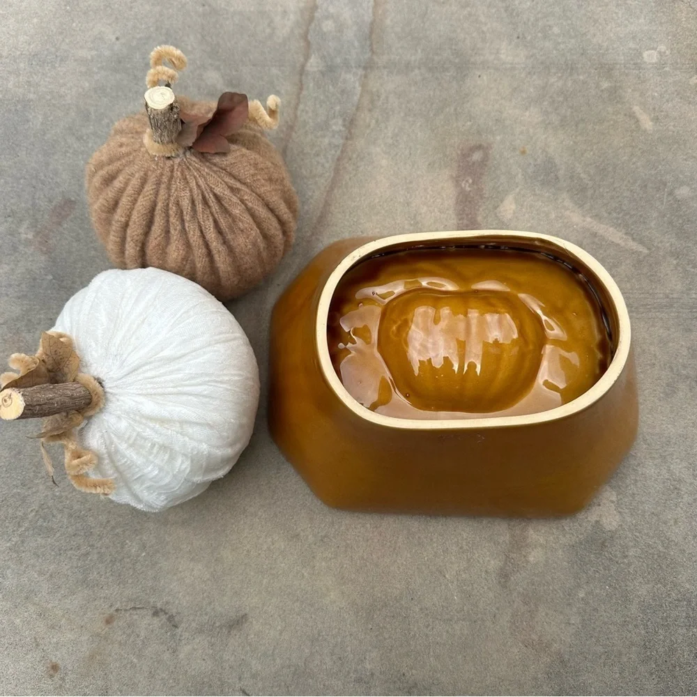 Crate & Barrel Ceramic Stoneware Fall Pumpkin Bread Cake Baking Jello Mold Decor
